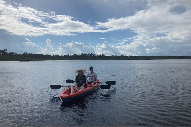 New Smyrna Dolphin and Manatee Kayak and SUP Adventure Tour - Price and Value: Is $65 Worth It?