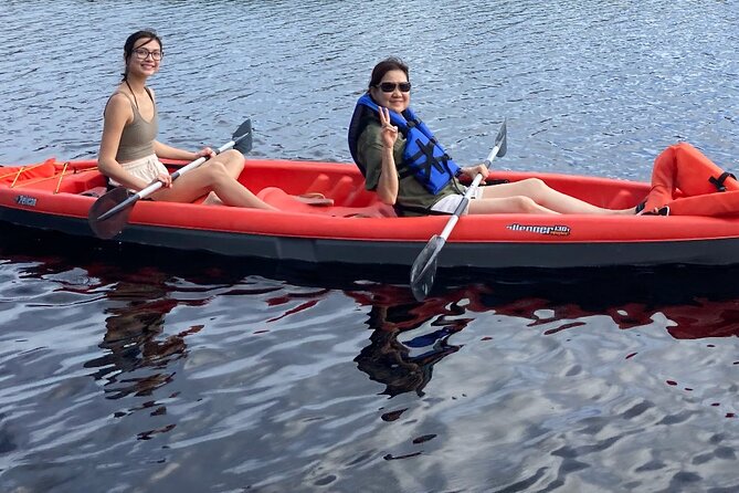 New Smyrna Dolphin and Manatee Kayak and SUP Adventure Tour - When the Weather Changes the Plan