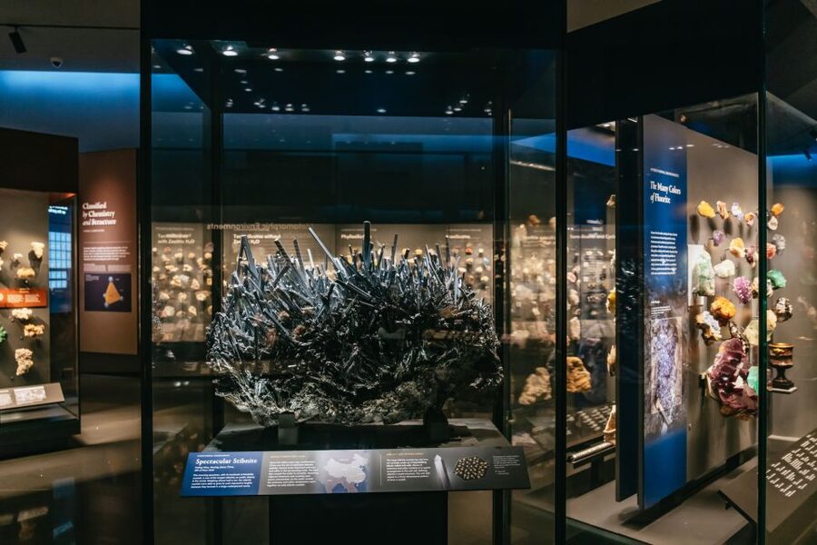 New York City: American Museum of Natural History Ticket - Who This Ticket Is Best For