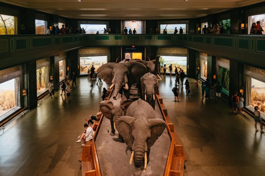 New York City: American Museum of Natural History Ticket - The Rose Center for Earth and Space: A Way to Change Gears