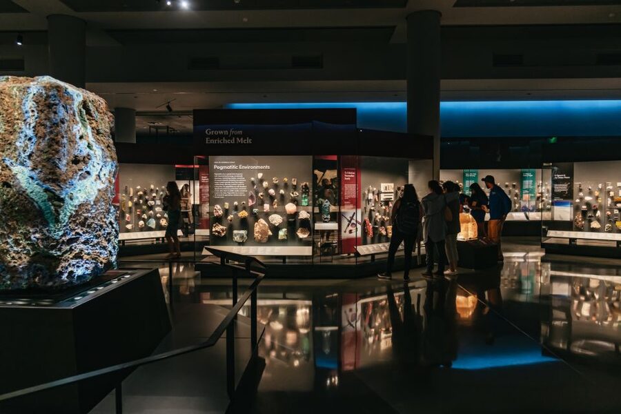 New York City: American Museum of Natural History Ticket - Optional Ticketed Exhibitions: Where You Decide How Big Your Day Gets