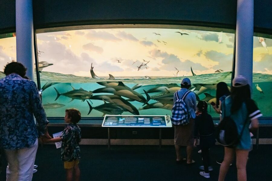 New York City: American Museum of Natural History Ticket - Hayden Planetarium and Giant-Screen Films: Know What’s Included vs Ticketed