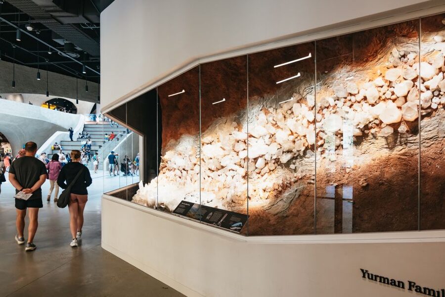 New York City: American Museum of Natural History Ticket - Facilities, WiFi, and Practical Comfort Tips