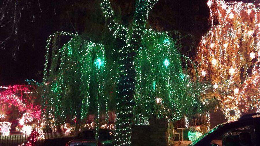 New York City: Dyker Heights Christmas Lights Tour - Key Highlights Worth Your Time