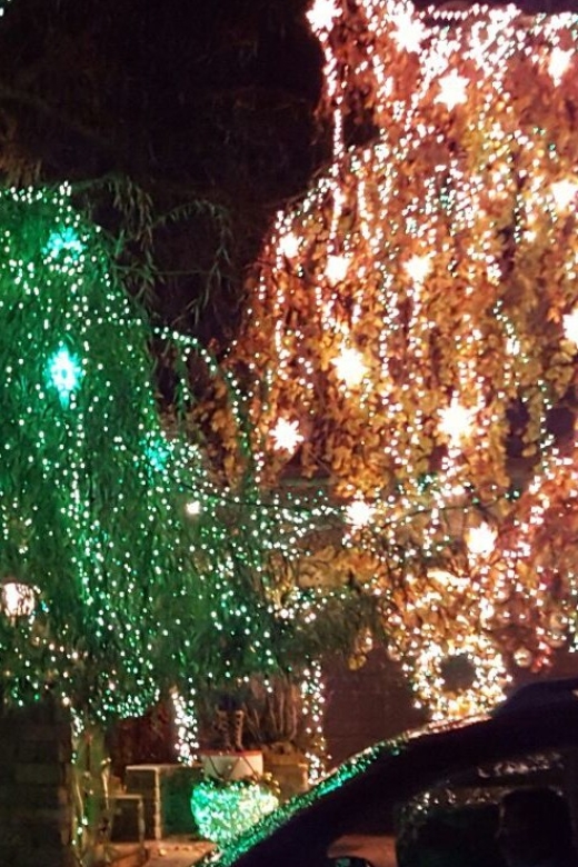 New York City: Dyker Heights Christmas Lights Tour - Dumbo Stop After the Lights: Quick City Energy on the Way Back
