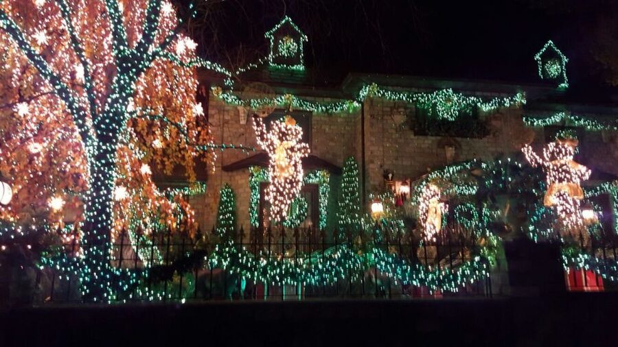 New York City: Dyker Heights Christmas Lights Tour - Guide and Driver: The Human Touch That Makes the Night Run Smooth