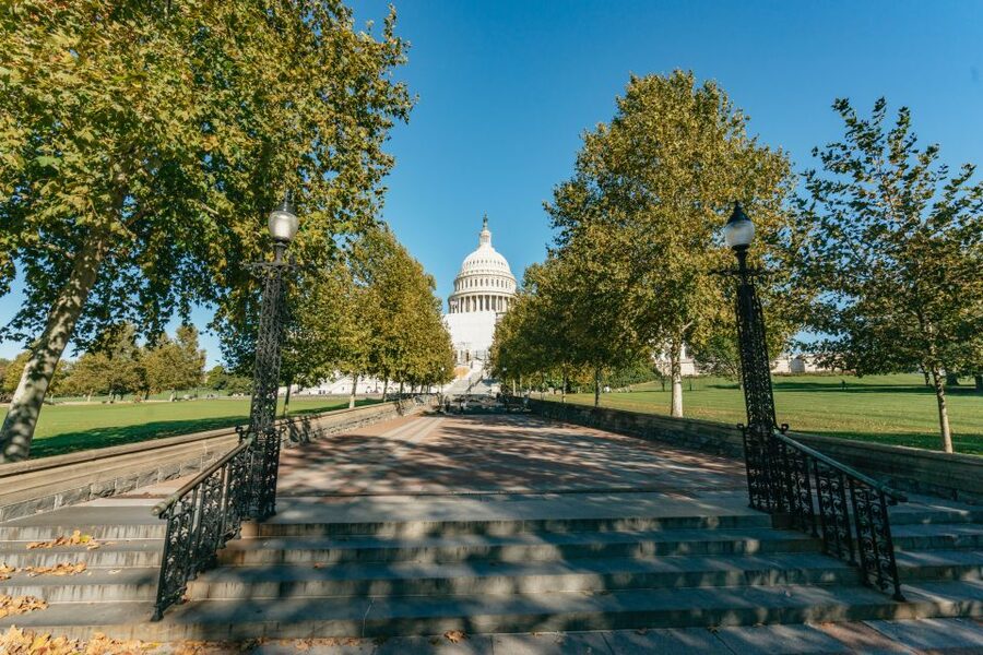 New York City: Full-Day Washington DC City Highlights Tour - Price and Value: Is $149 a Fair Deal for This Day?