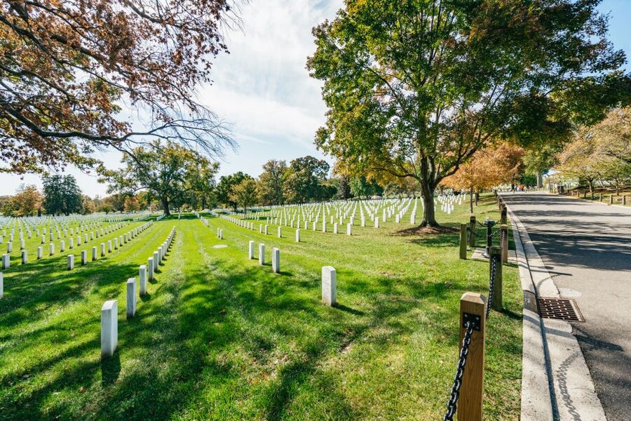 New York City: Full-Day Washington DC City Highlights Tour - Guides, Languages, and Why the Story Matters on a Packed Schedule