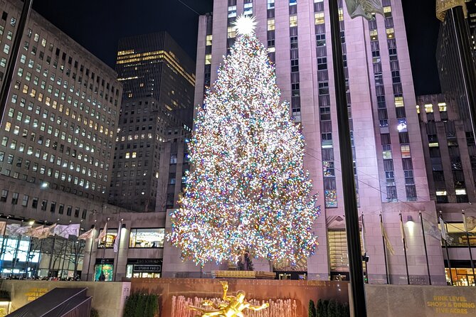 New York City Holiday Lights Tour - Key things I’d zero in on before you book