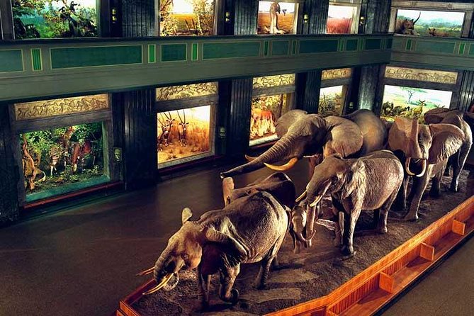 New York CityPASS® - Statue of Liberty and Ellis Island: ferry access, museums, and audio guides