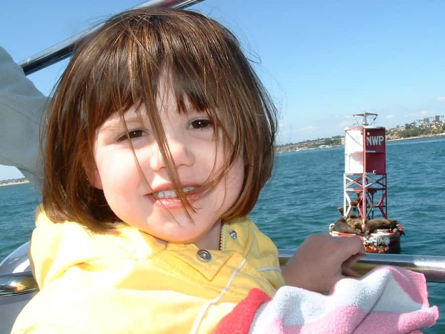 Newport Beach: 2-Hour Whale Watching Tour - What It Feels Like: Smooth Ride, Real Ocean Time