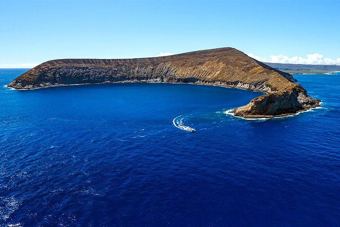 Ni'ihau and Na Pali Coast Snorkel Boat Tour - Stop 2: Lehua Crater snorkeling, clear water and serious marine life