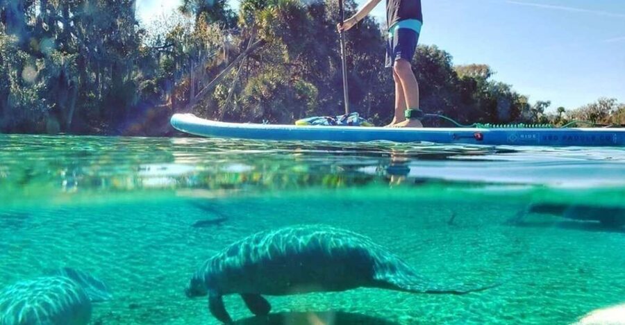 North Miami: Nature & Island Exploration on SUP/Kayak - Key takeaways before you paddle