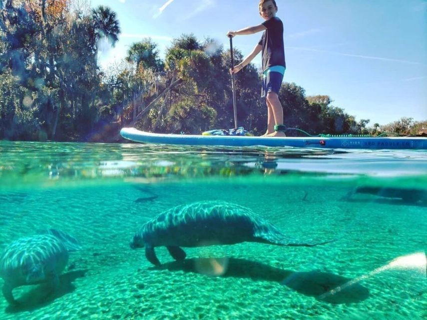 North Miami: Nature & Island Exploration on SUP/Kayak - North Miami mangroves, and why SUP and kayak feel different here