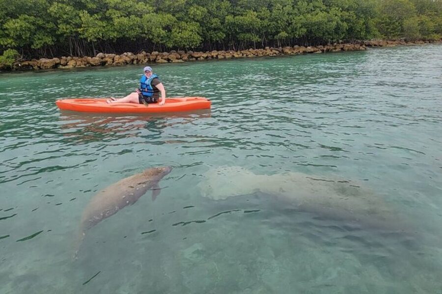 North Miami: Nature & Island Exploration on SUP/Kayak - The guide makes a real difference (and you can see it in the names people mention)