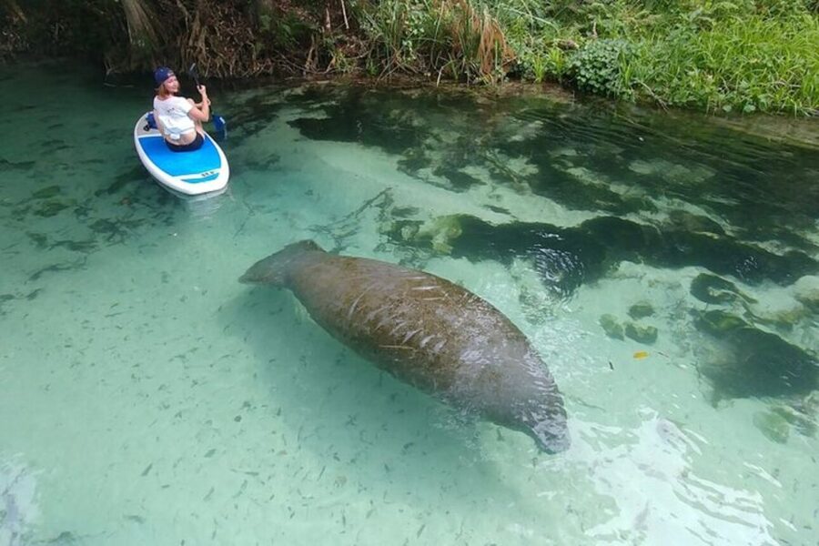 North Miami: Nature & Island Exploration on SUP/Kayak - Is the $99 price a good value for a 4-hour SUP/kayak day?