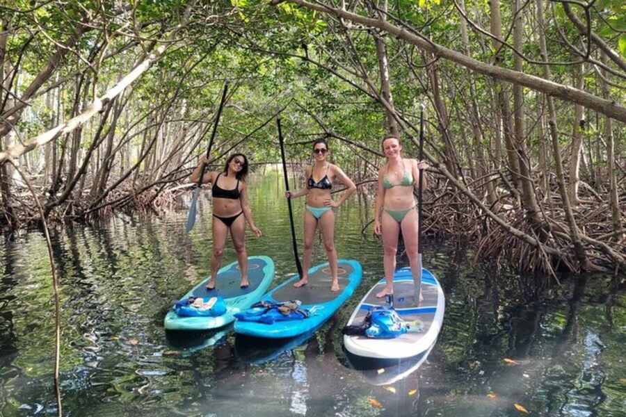 North Miami: Nature & Island Exploration on SUP/Kayak - Weather, safety, and what to expect if things get rough