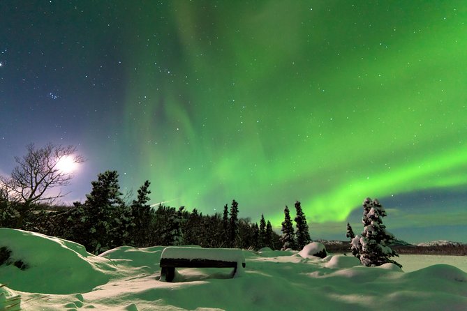 Northern Lights & Arctic Circle Tour - Dalton Highway to the Arctic Circle, without the white-knuckle driving