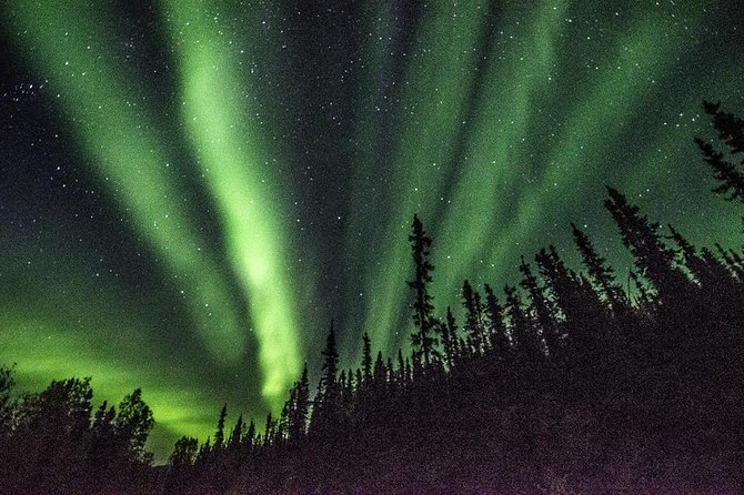 Northern Lights & Arctic Circle Tour - Northern Lights chances: how the chase works and where you might stop