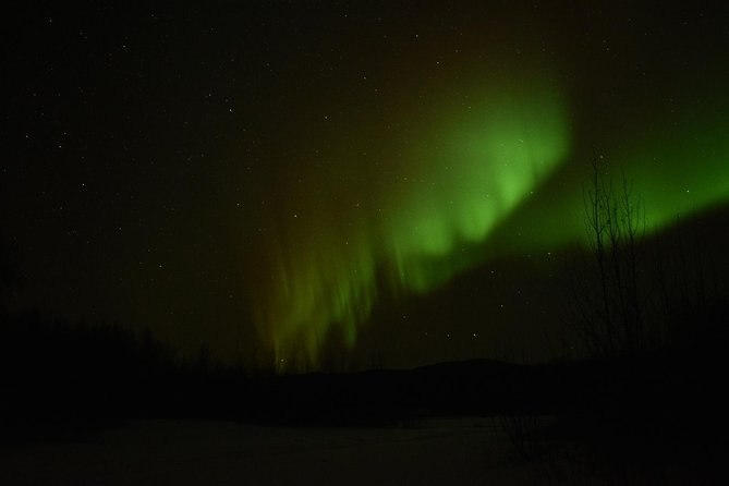Northern Lights & Arctic Circle Tour - Guides make the difference: extra stops, extra patience, and real safety focus