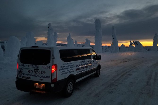 Northern Lights & Arctic Circle Tour - Food, drinks, and what you can plan for