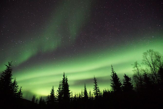 Northern Lights & Arctic Circle Tour - Who this tour suits best (and who should choose something else)