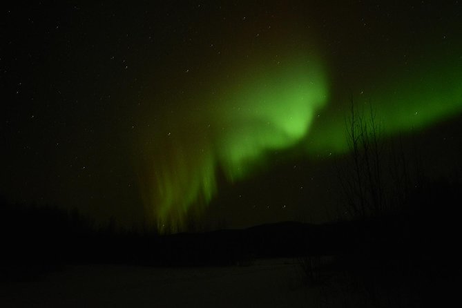 Northern Lights & Arctic Circle Tour - The route that makes this trip feel different: pipeline, Yukon River, and EL Patton Bridge