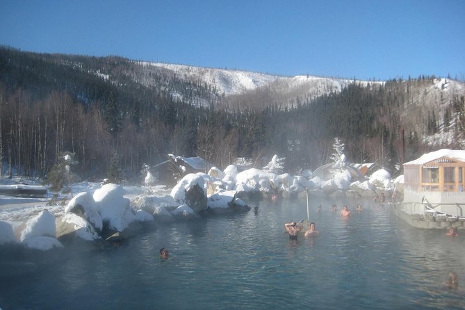 Northern Lights & Chena Hot Springs Tour - Price and value at $250: what you are paying for