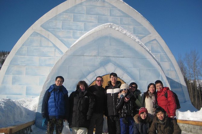 Northern Lights & Chena Hot Springs Tour - Aurora Ice Museum: ice art, an ice bar, and a time for photos