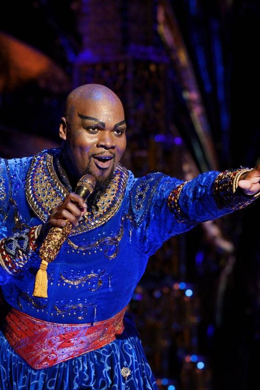 NYC: Aladdin the Musical on Broadway - Photo and phone rules you must follow