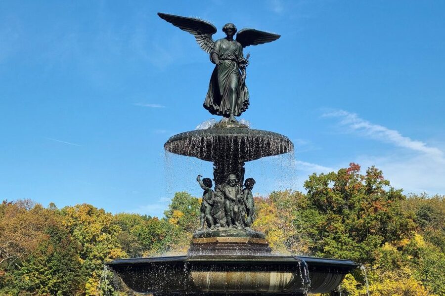NYC: Central Park Bike Rentals - Choosing the right bike type for your group