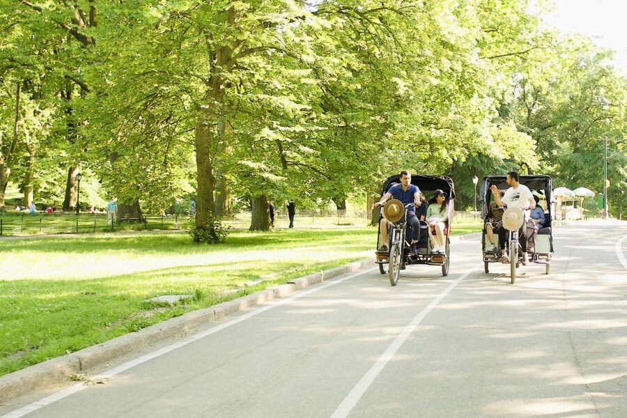 NYC: Central Park Celebrity Homes & Film Spots Pedicab Tour - Tour pacing and how to get the most from 1 to 2 hours