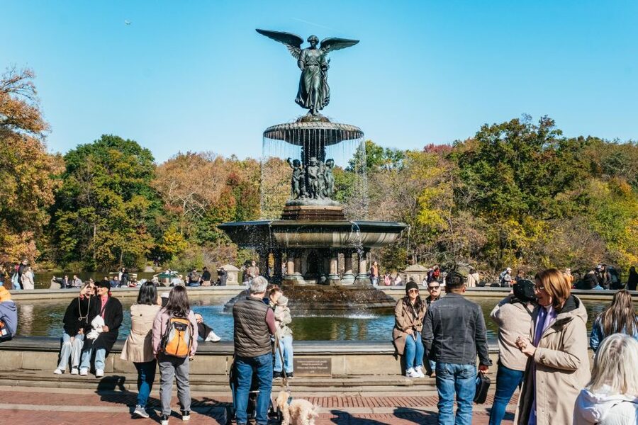NYC: Central Park Guided Pedicab Tour - Key things that make this pedicab tour worth it