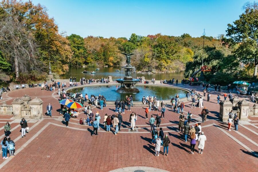 NYC: Central Park Guided Pedicab Tour - Bow Bridge and Strawberry Fields energy, plus the James Bond feeling of big views