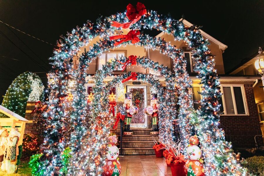 NYC: Dyker Heights Christmas Lights & Skyline View Bus Tour - Price and value: what $69 gets you in real-world terms