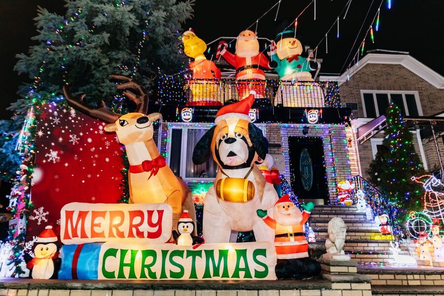 NYC: Dyker Heights Christmas Lights & Skyline View Bus Tour - Who this tour fits best, and who might want a different plan