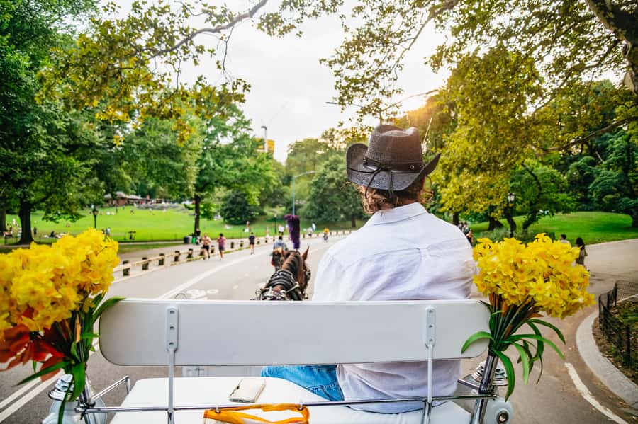 NYC: Guided Central Park Horse Carriage Ride - A private Central Park carriage ride that actually feels personal