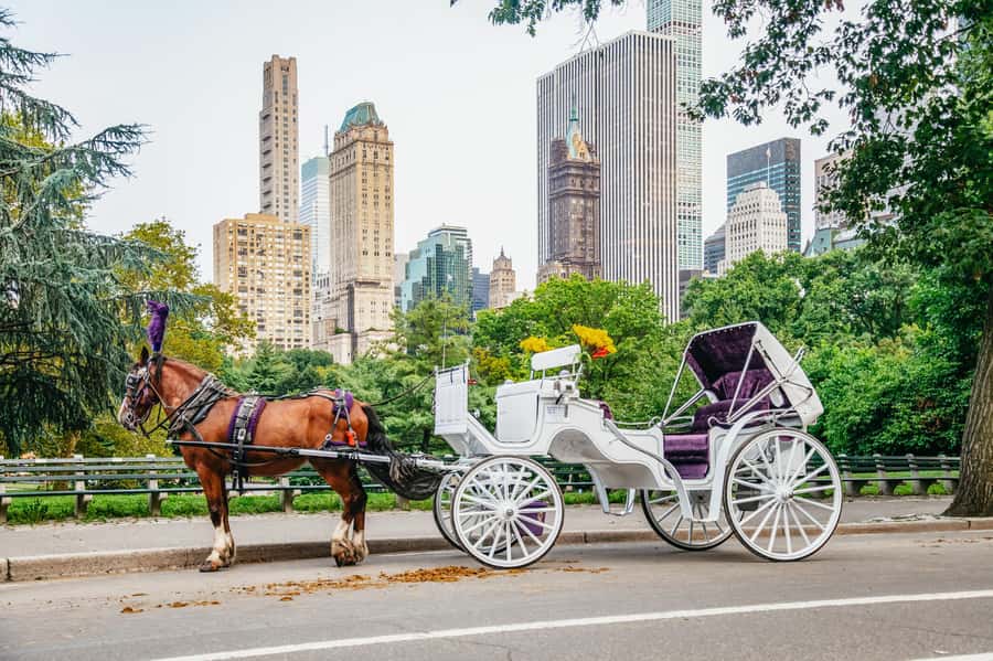 NYC: Guided Central Park Horse Carriage Ride - Bethesda Fountain: the photo stop that feels worth the pause