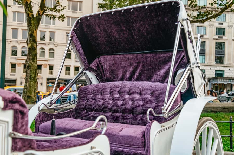 NYC: Guided Central Park Horse Carriage Ride - Cherry Hill and the Friends Fountain: the second must-stop