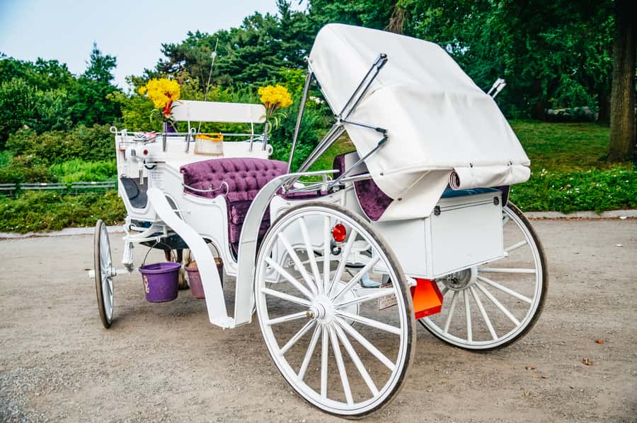 NYC: Guided Central Park Horse Carriage Ride - Price and value: $155 per group up to 4 makes sense for the right travelers