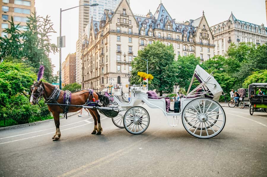 NYC: Guided Central Park Horse Carriage Ride - Who should book this carriage ride, and who should skip it
