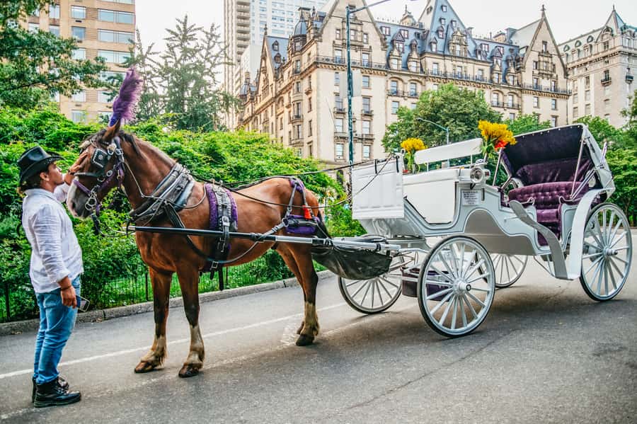NYC: Guided Central Park Horse Carriage Ride - The route: from Literary Mall vibes to iconic waterside views