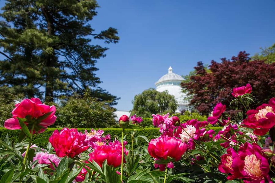 NYC: New York Botanical Garden Pass - Food, Cafés, and Breaks: Plan for Purchases