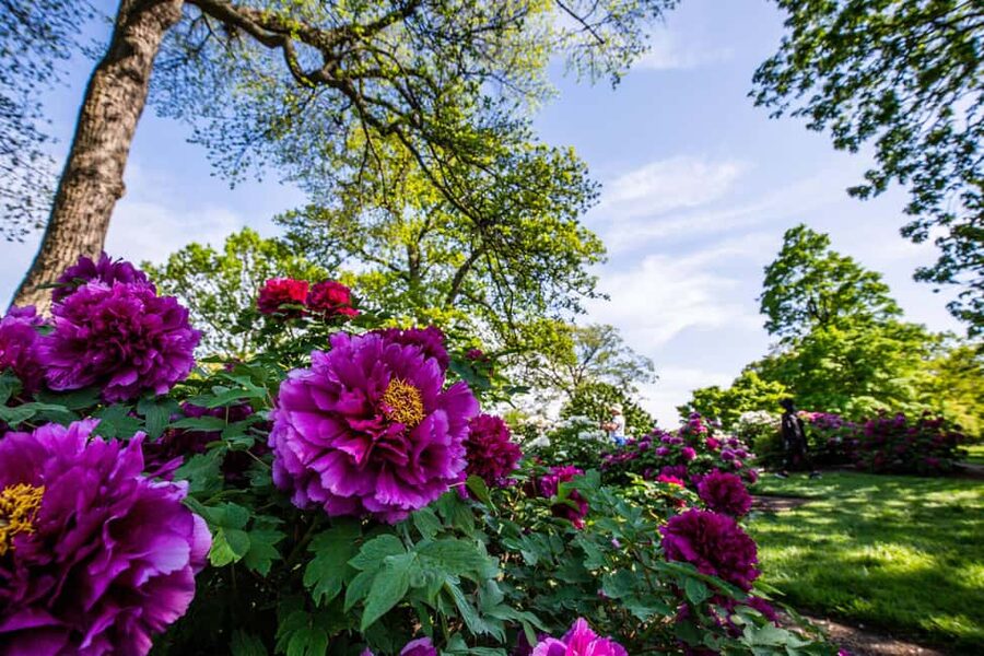 NYC: New York Botanical Garden Pass - Outdoor Walking on 250 Acres: Dress Like It Is About the Feet