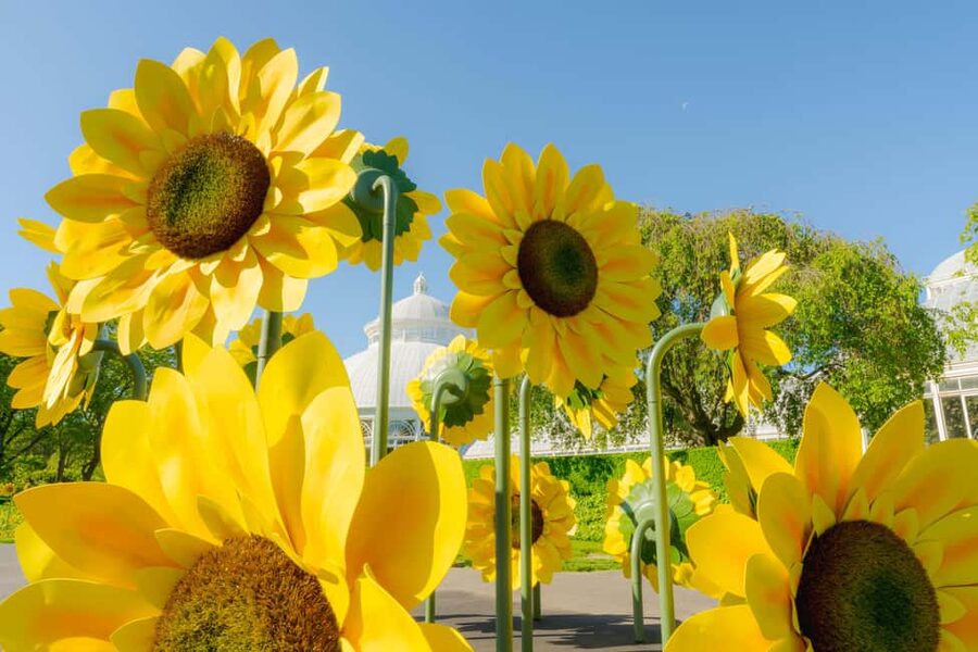NYC: New York Botanical Garden Pass - Starting at the Leon Levy Visitor Center, and Getting Your Bearings Fast