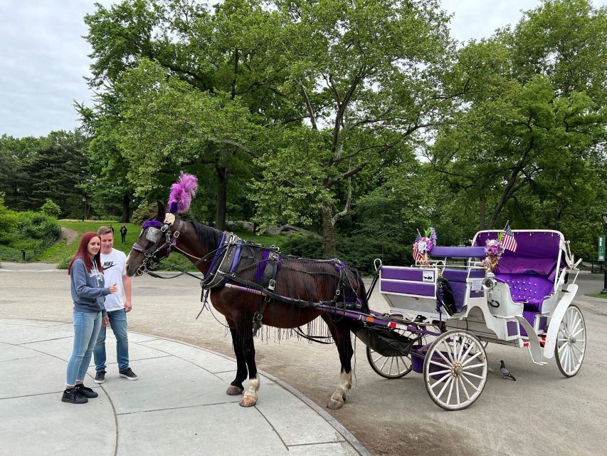 NYC: Private Central Park Horse Carriage Ride with Guide - Old New York Vibes, With a Real Guide in the Driver’s Seat