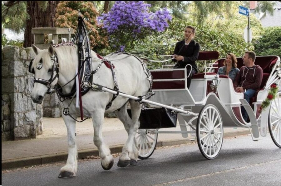 NYC: Private Central Park Horse Carriage Ride with Guide - Central Park Landmarks You’ll Likely See, Plus Why the Stops Work