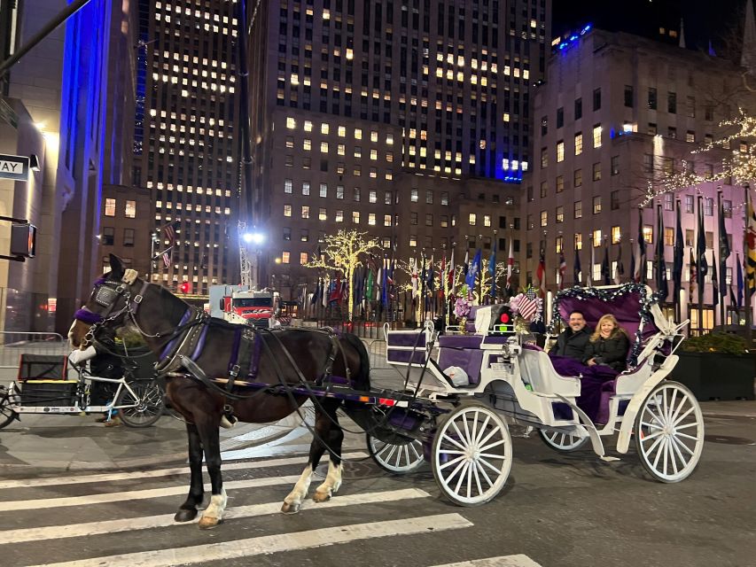 NYC: Private Central Park Horse Carriage Ride with Guide - Guides Who Tell the Park Like a Story, Not a Lecture
