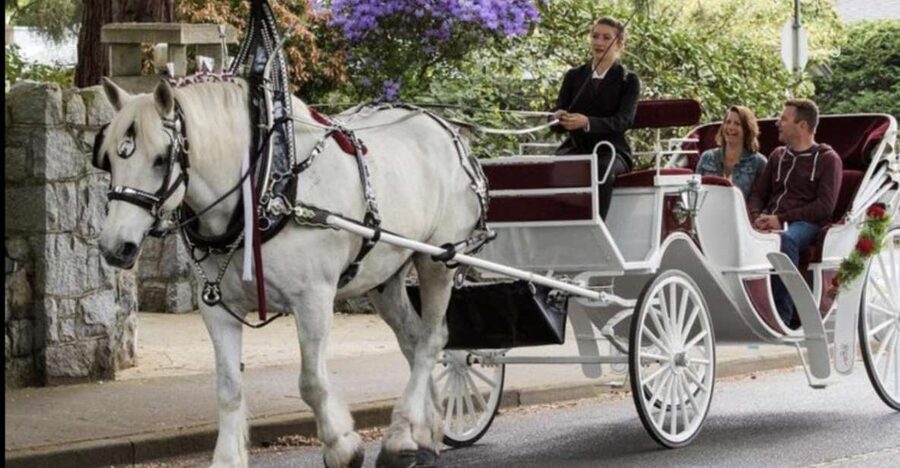 NYC: Private Central Park Horse Carriage Ride with Guide - Practical Tips That Improve Your Ride Immediately
