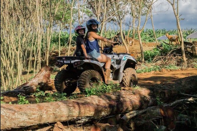 Oahu Beachfront ATV Adventure and Farm Tour - Farm tour time: animals, soil health, and the Korean Natural Pig Farming angle